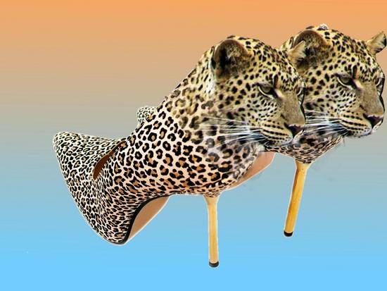 leopard shoe