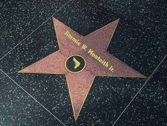 Hollywood Star