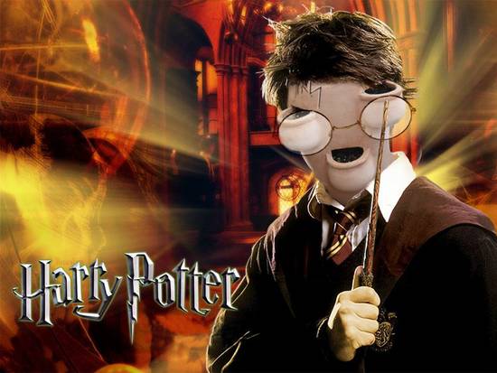 The real Harry Potter