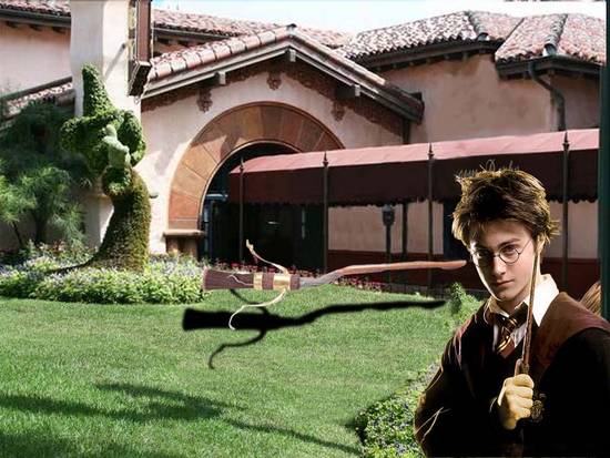 Harry Broom Potter