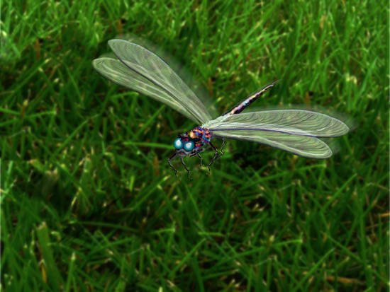 ~ Alien Dragonfly ~