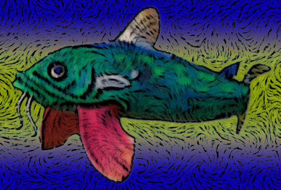 Catfish Art