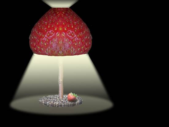 Strawberry Lamp