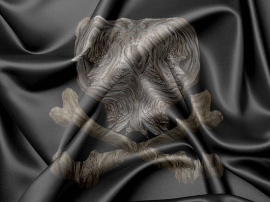 pirate flag