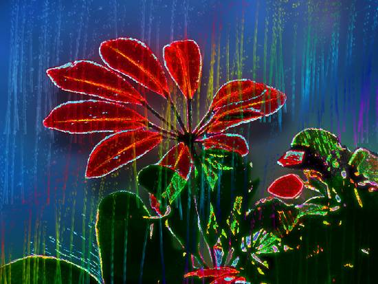 Rainbow-Rain&Red Flower