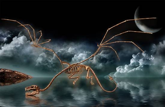 Bone Dragon