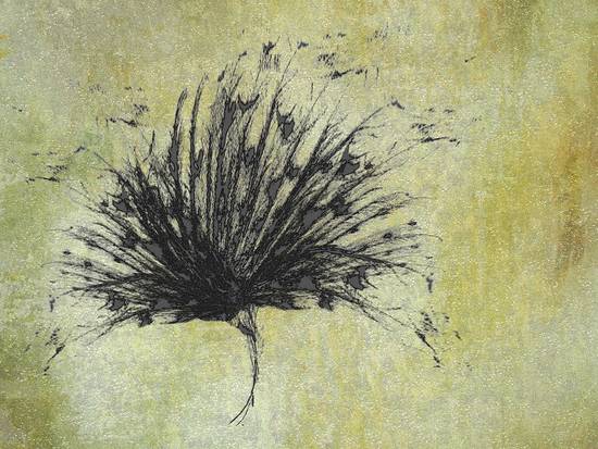 Dandelion Sketch