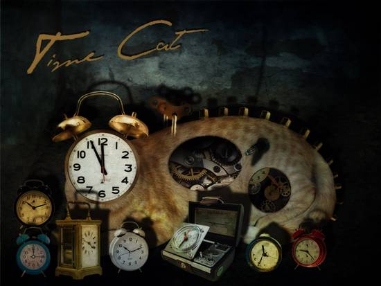 Time Cat