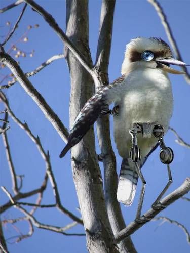 The robot bird