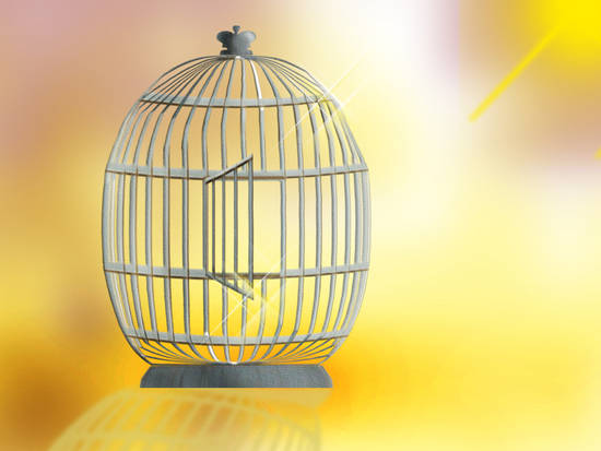 Bird Cage