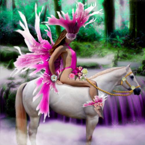 The Pink Fairy