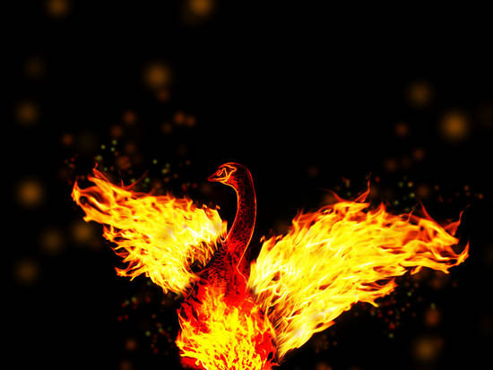 phoenix