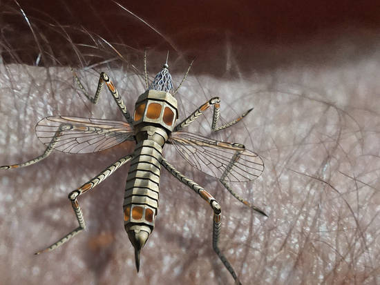 Mutated Zika Mosquito