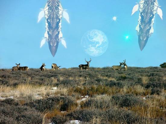 planet of the deers