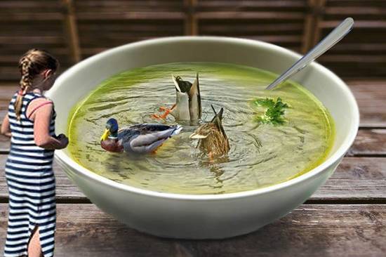 Ducks on soup