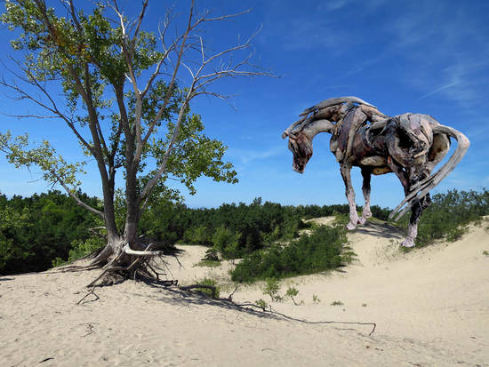 Driftwood Stallion