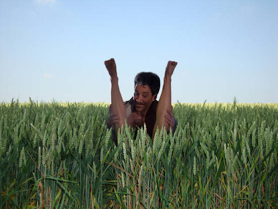 Ploughing in the fields!