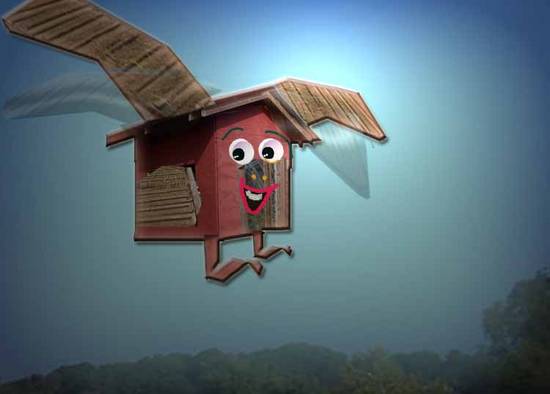 Flying House