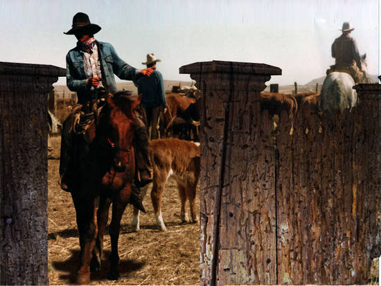 OLD WOOD FENCE