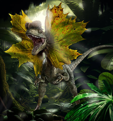 Dilophosaurus