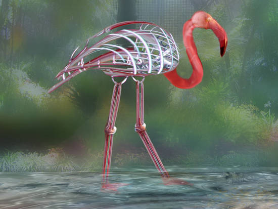 Flamingo