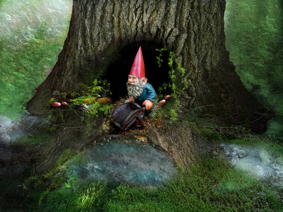 gnome home