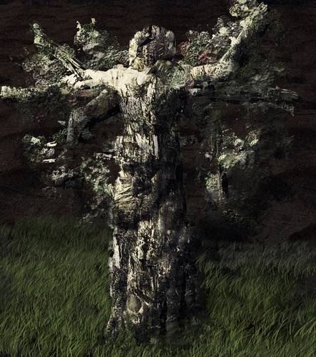 Human Tree