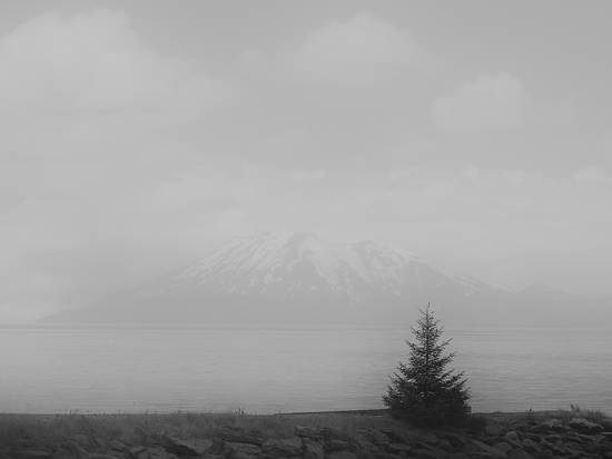 Foggy Day on The Lake