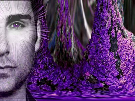 Purple Forest