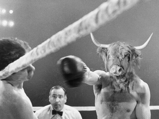 Raging Bull