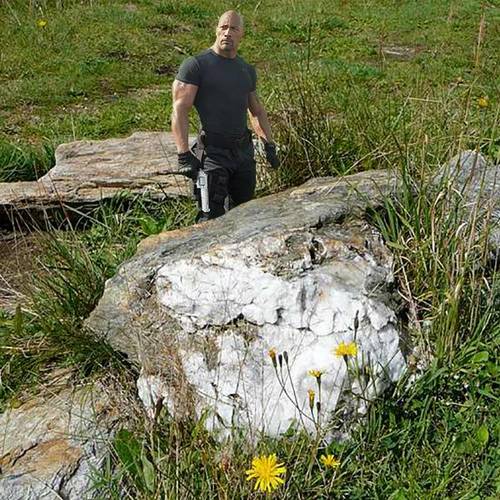 Rocks in a Field