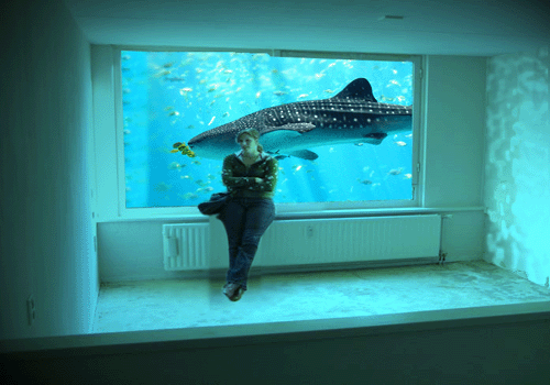 aquarium