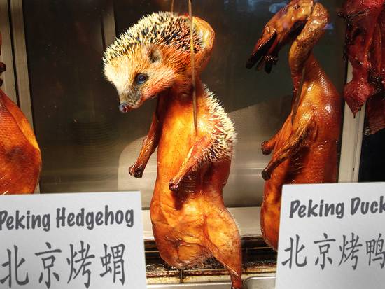 Peking Hedgehog