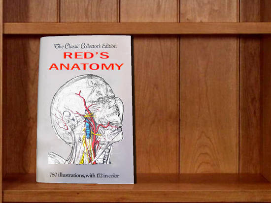 Red's Anatomy