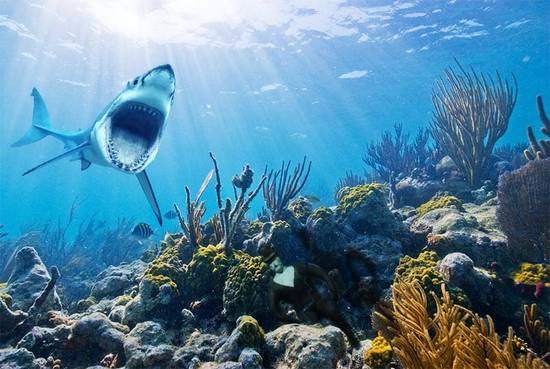 Underwater Statue