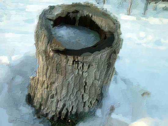 Painted Stump