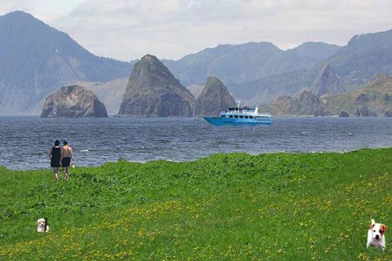 meadow at the sea coast