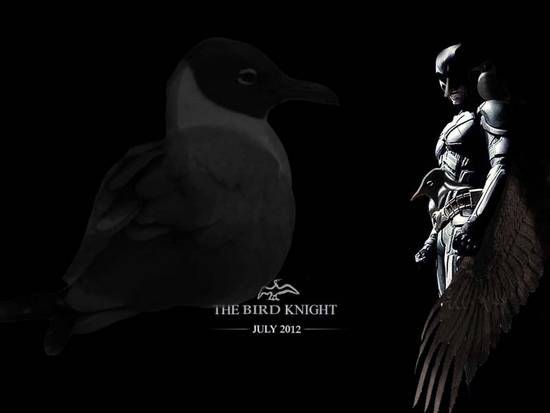 Bird Knight