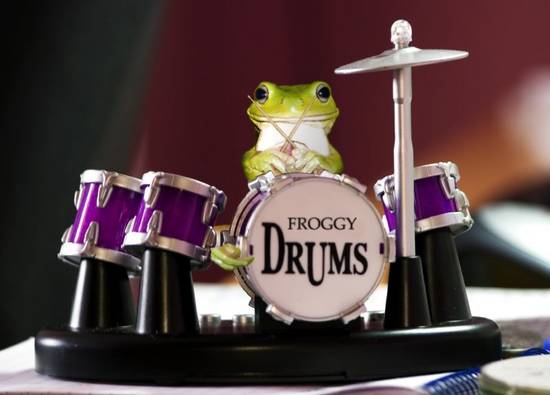 Froggy Drums