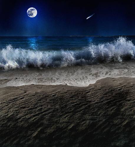 Blue Moon Tide...