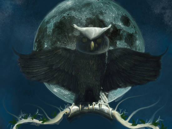 Owl at Night