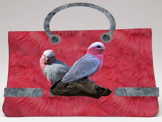 Galah purse