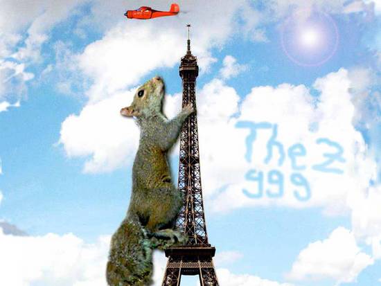 Eiffel Squirrel