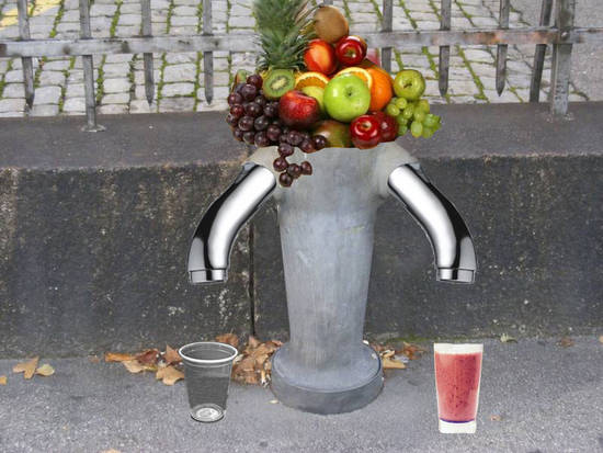 Fruit Juicer