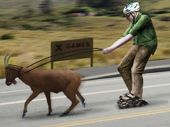 Extreme Goat Racing