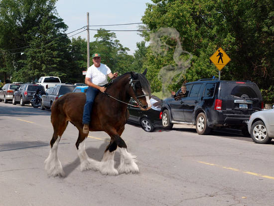 Real horse power