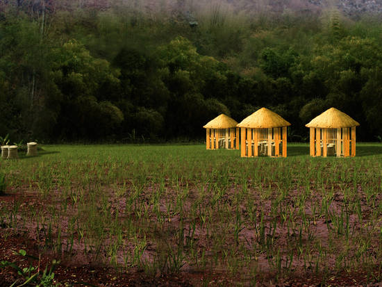 Rice Field and Huts