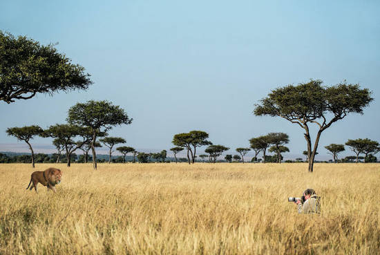 Safari Photoshoot