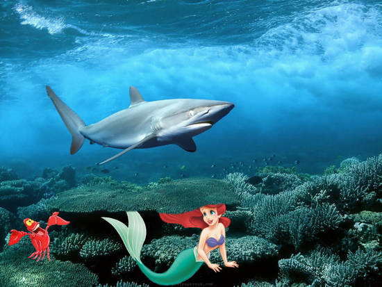 Hide Ariel Under The Sea