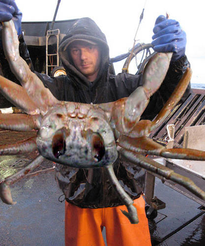 Deadliest Catch